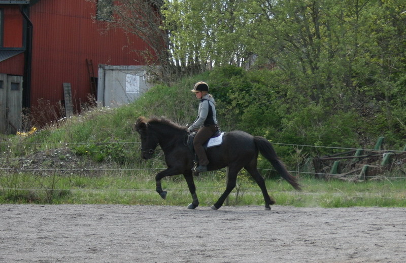 Gnaamaj0925.JPG