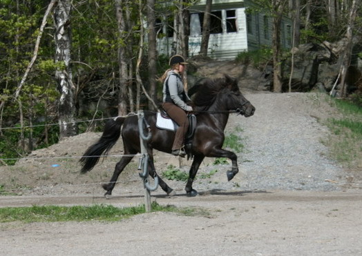 Gnaamaj0926.JPG
