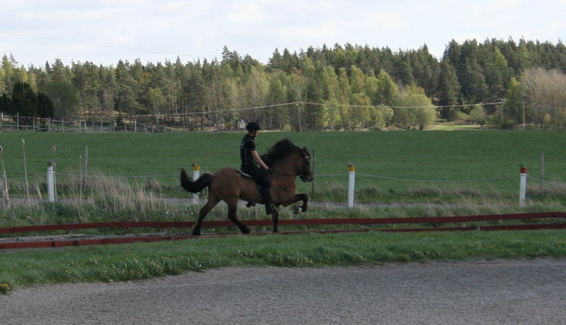 Viglundur2.jpg