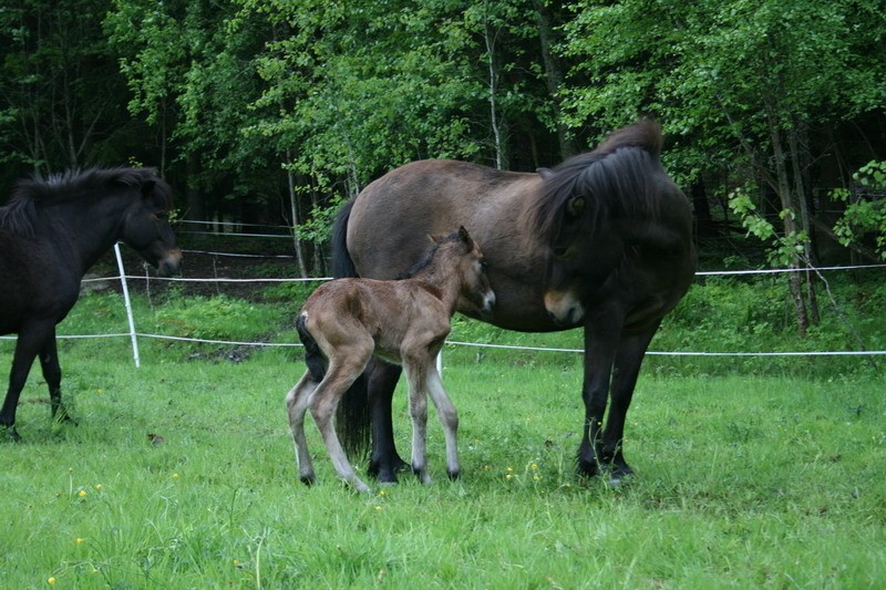 bebis8.jpg