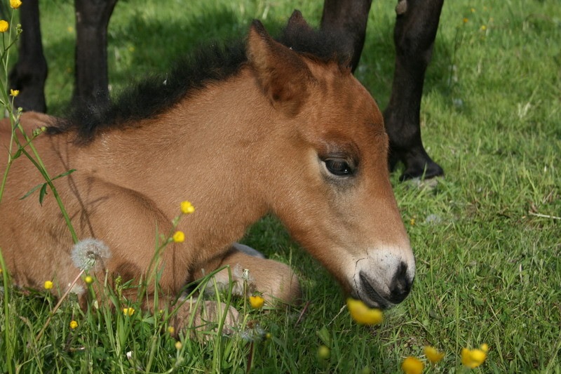 brandi4dagar25.JPG