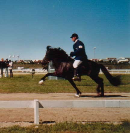 Glampi-LM2000.jpg