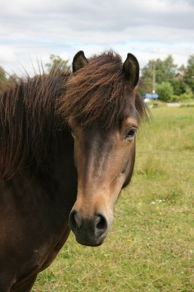 T5juli091.JPG