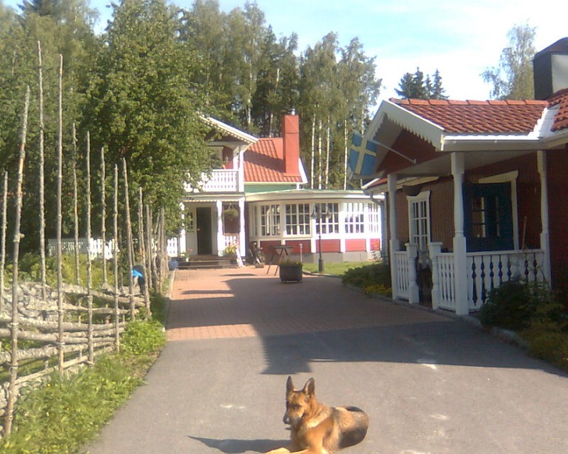 sjovik6.jpg