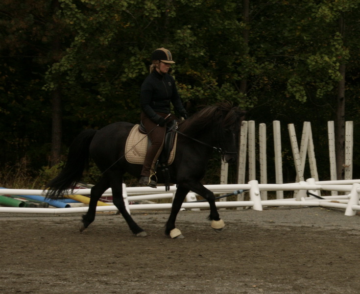 090110Hinnikurs050.JPG