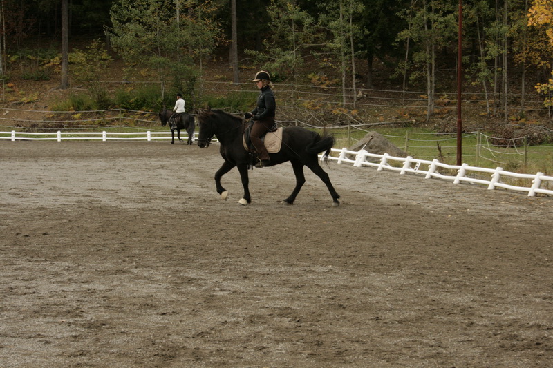 090110Hinnikurs058.JPG
