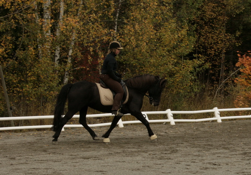 090110Hinnikurs059.JPG