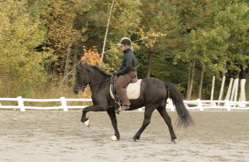 090110Hinnikurs064.JPG