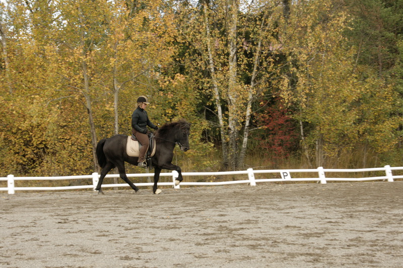 090110Hinnikurs068.JPG