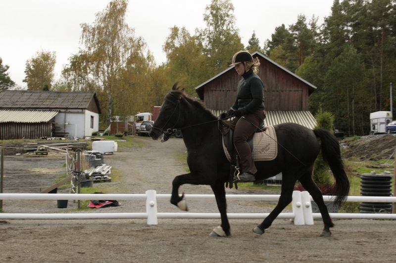 090110Hinnikurs107.JPG