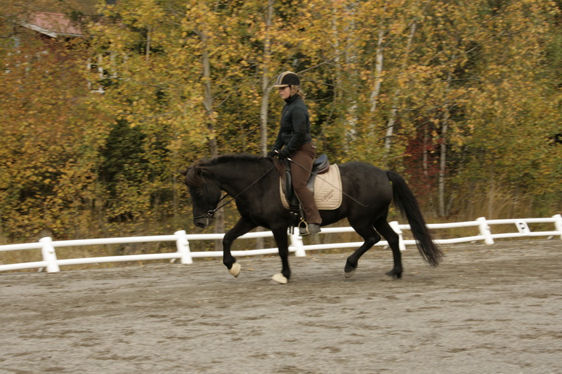 090110Hinnikurs121.JPG