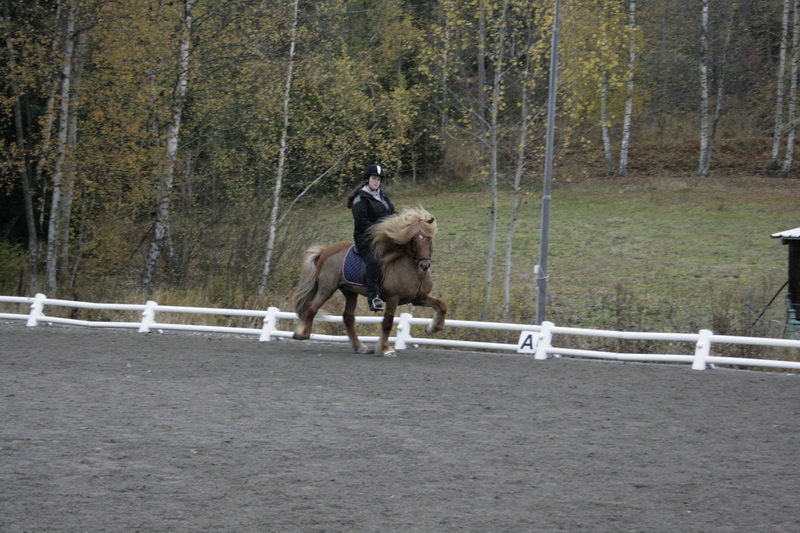Hinnikurs22100906.JPG
