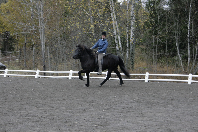 Hinnikurs22100917.JPG