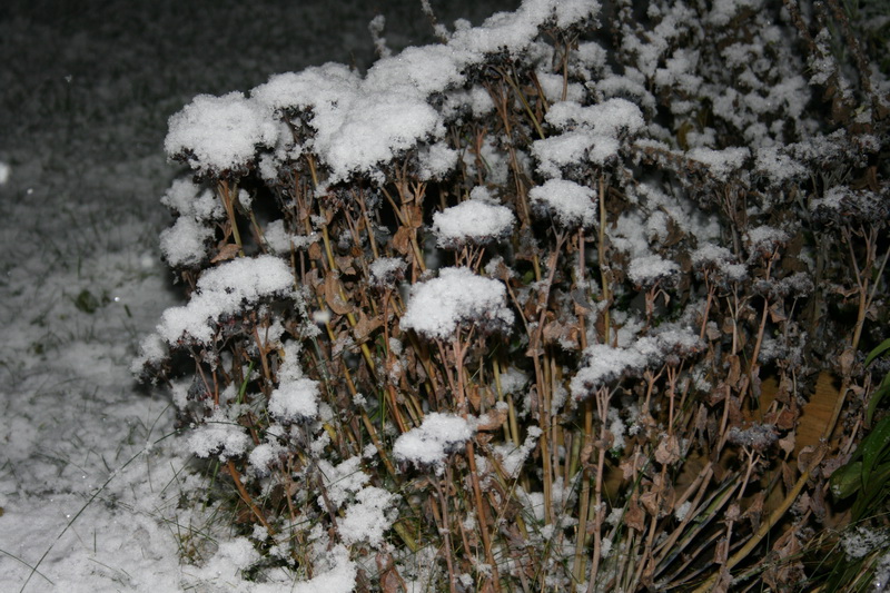 december17.JPG