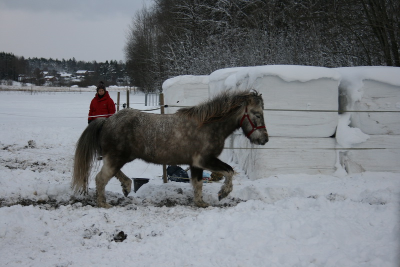 skramur03.JPG