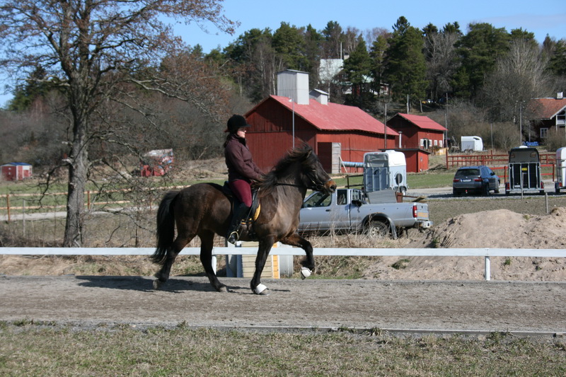 bantraning 003.JPG
