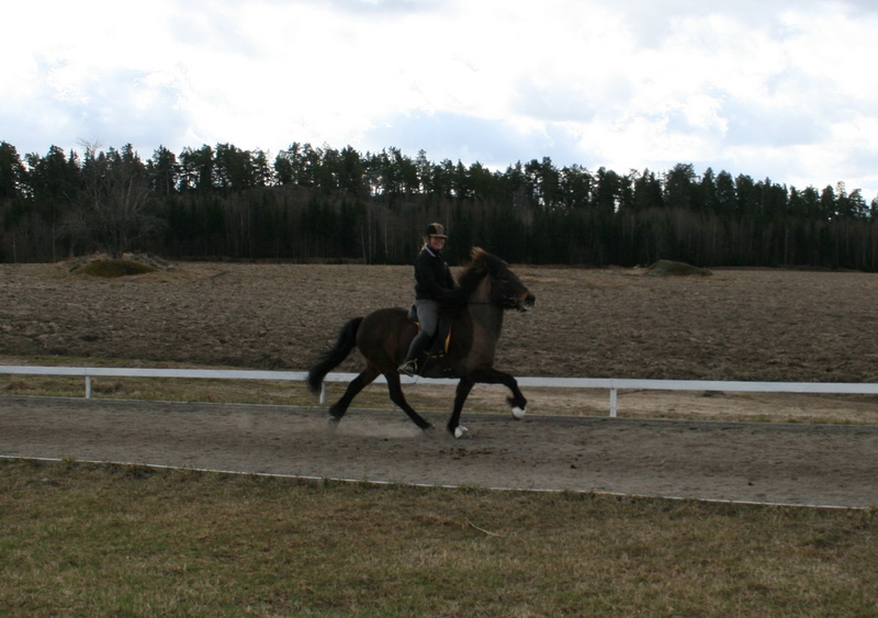 bantraning 053.JPG