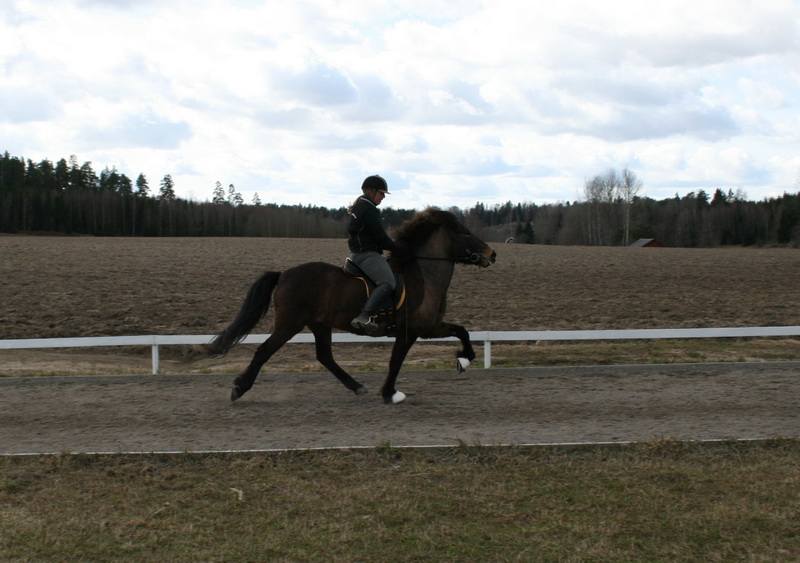bantraning 054.JPG