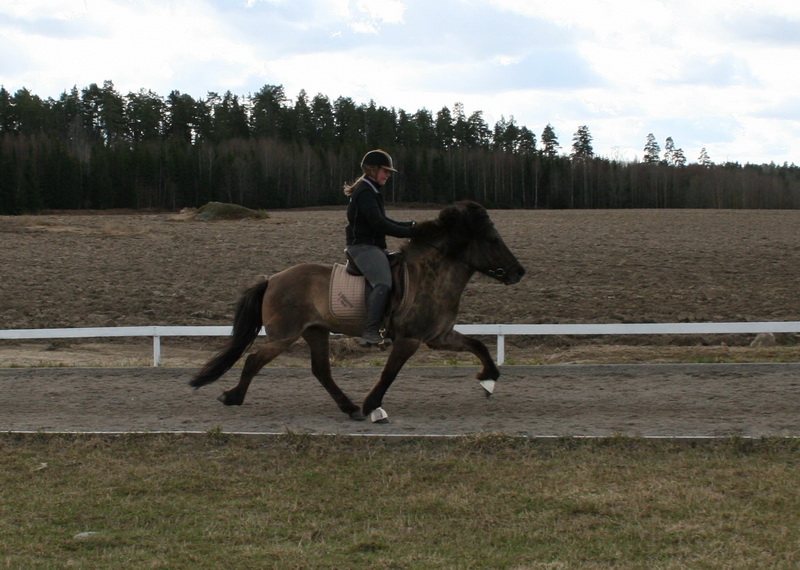 bantraning 066.JPG