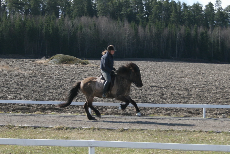 bantraning 016.JPG