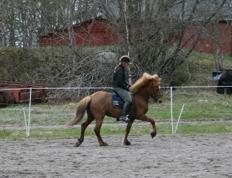 Eldis74.JPG