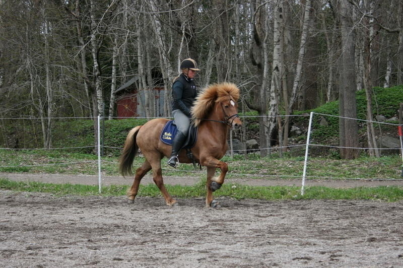 Eldis33.JPG
