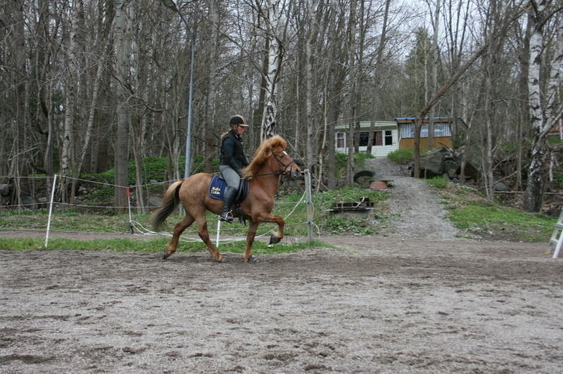 Eldis18.JPG