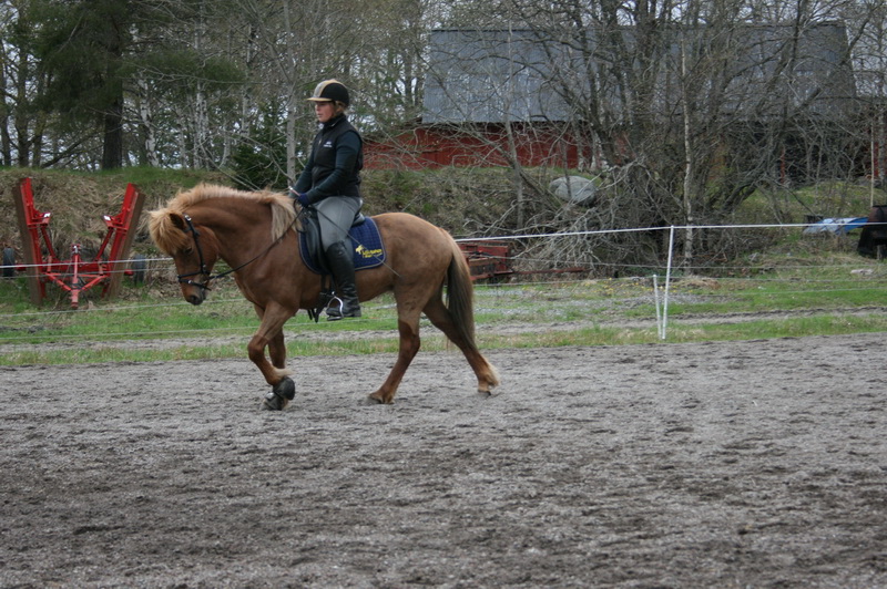 Eldis03.JPG