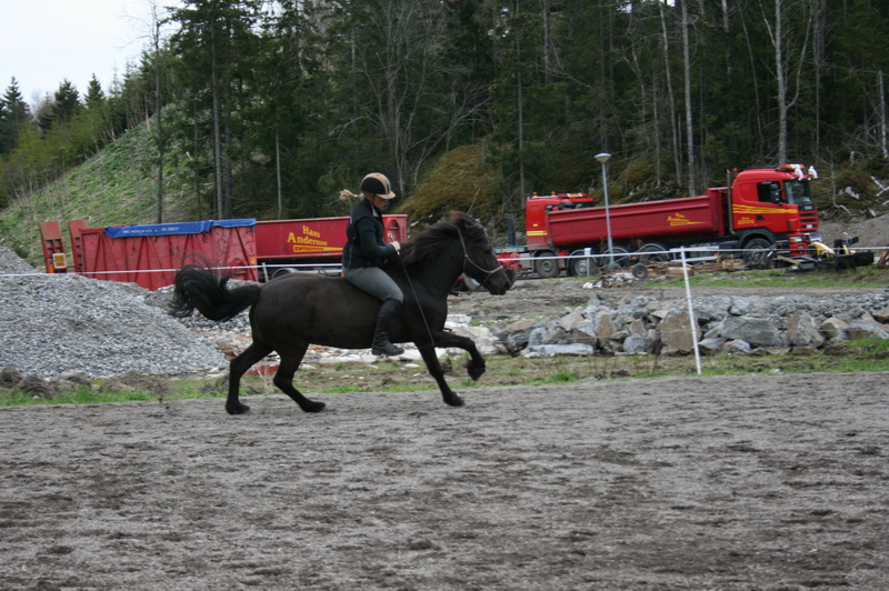 hästarna 377.JPG