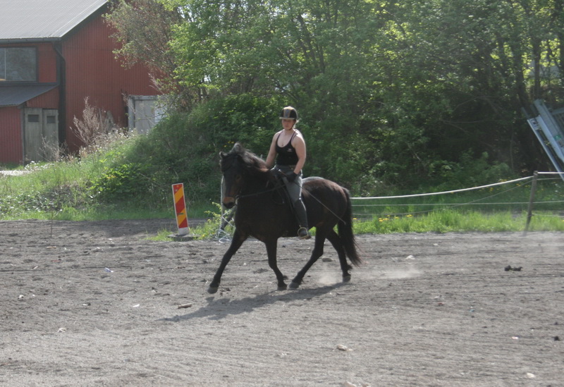 edda22051005.JPG
