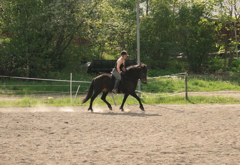 edda22051006.JPG