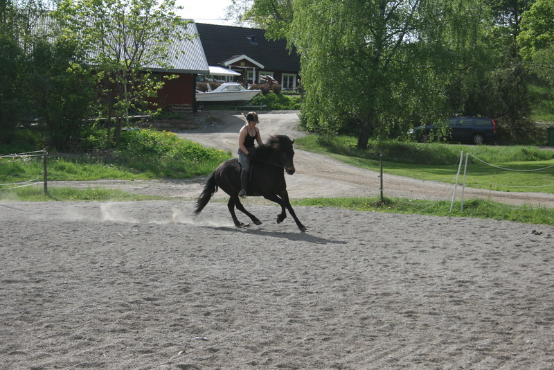 edda22051009.JPG