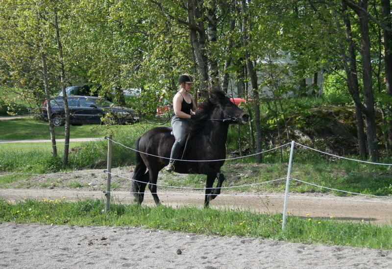 edda22051012.JPG