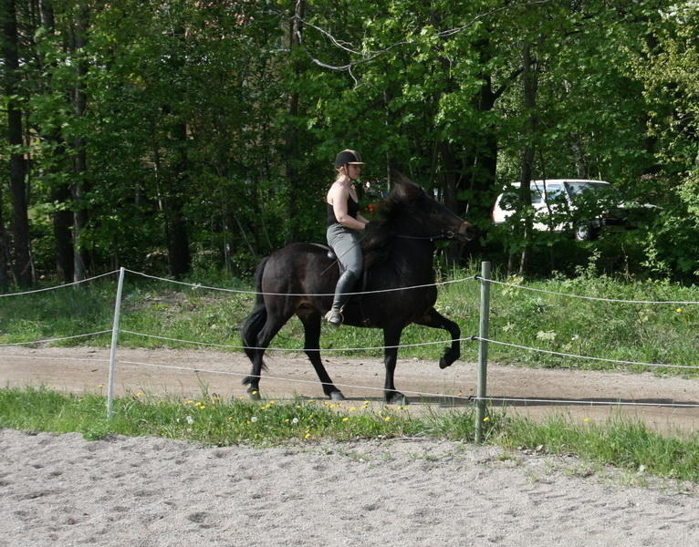 edda22051014.JPG