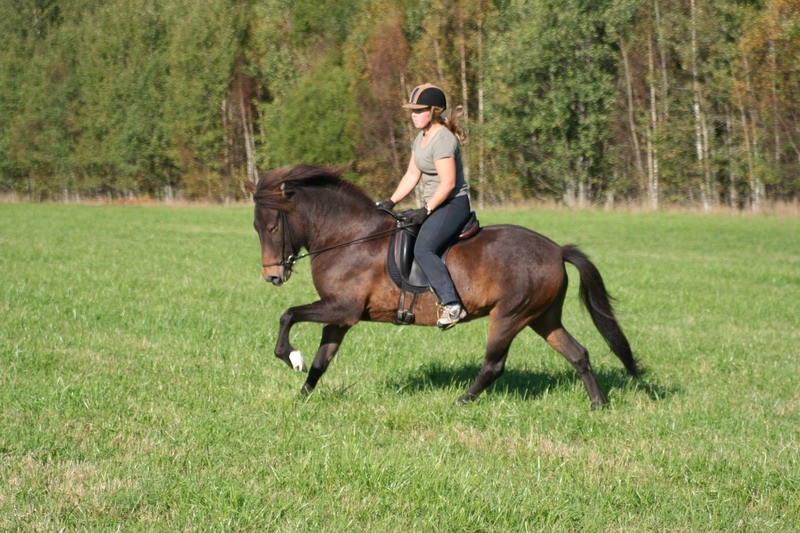 060929_40.JPG