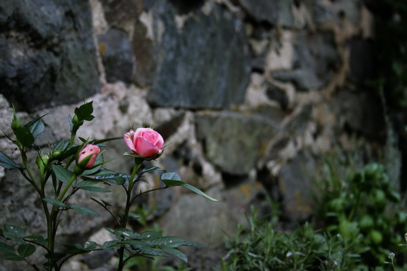 semseter201041.JPG