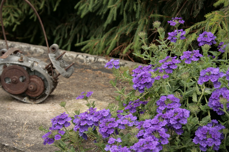 sommar 2010 055.JPG