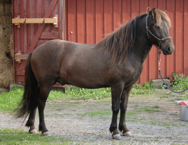 vastergarden21.JPG