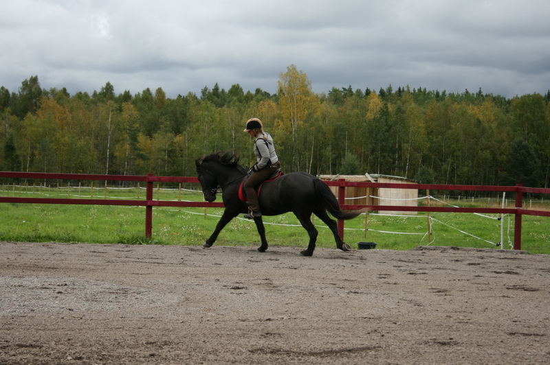 seifur 041.JPG