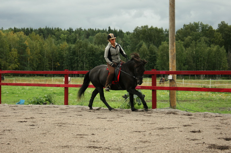 seifur 051.JPG