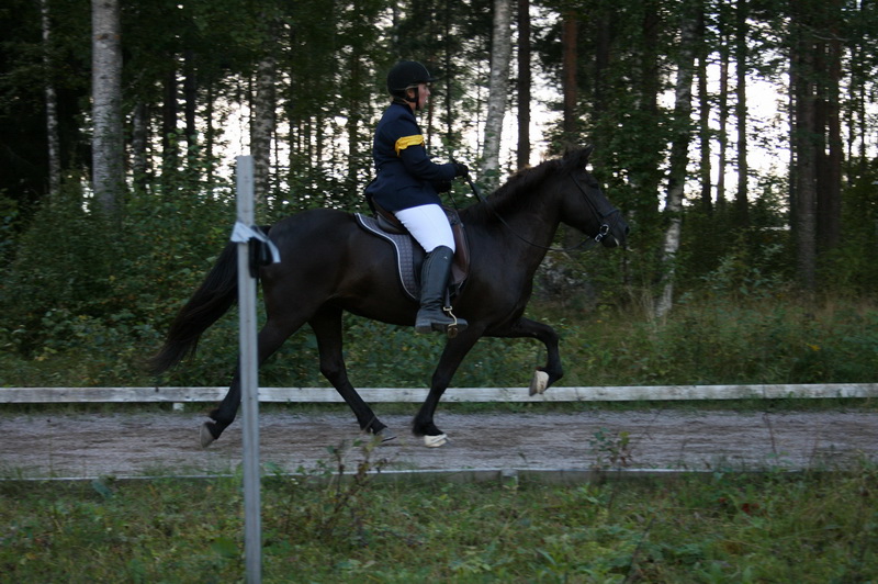 gyda10lord57.JPG