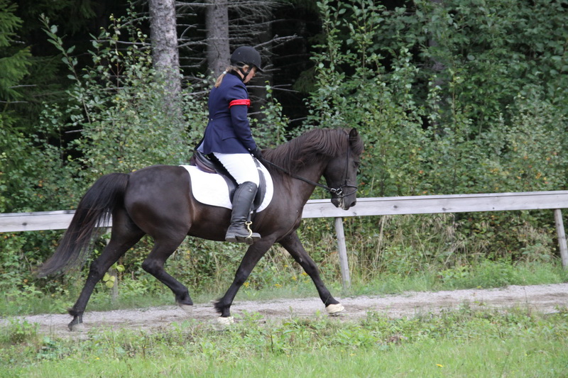 gyda10sond074.JPG