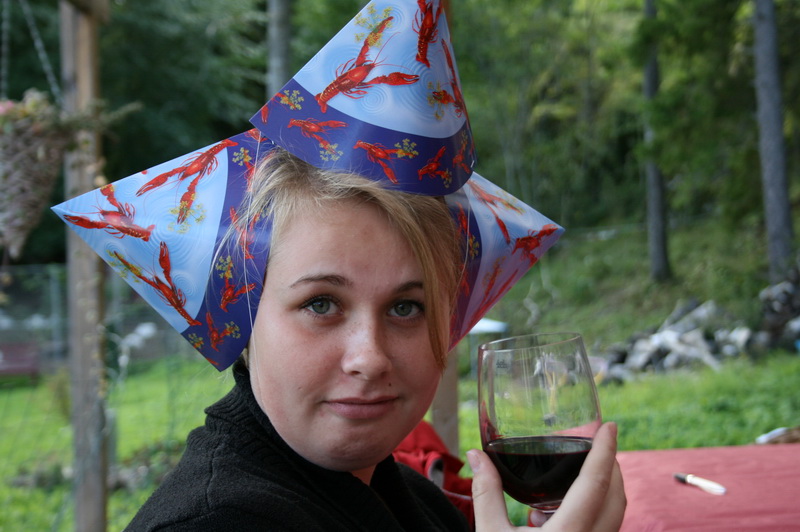 kraftskiva10.JPG