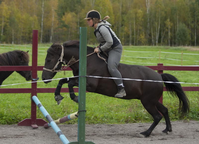 hopp3.jpg