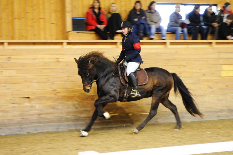 TindraKM201006.JPG