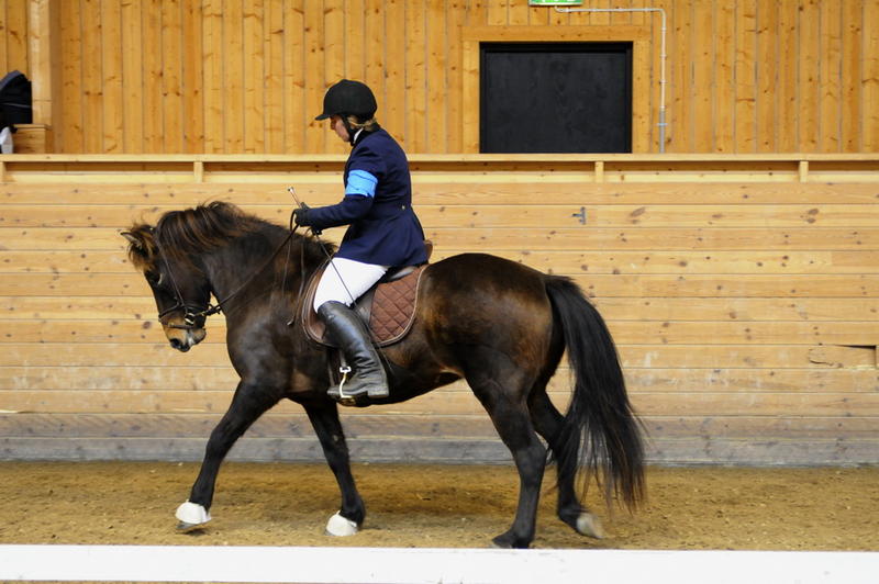 TindraKM201011.JPG