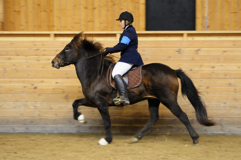 TindraKM201013.JPG