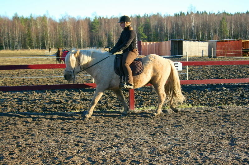 laufirid4.JPG