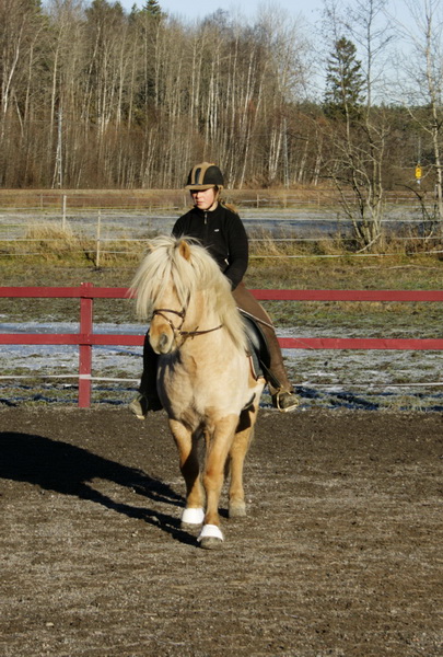 fylkir10110802.JPG