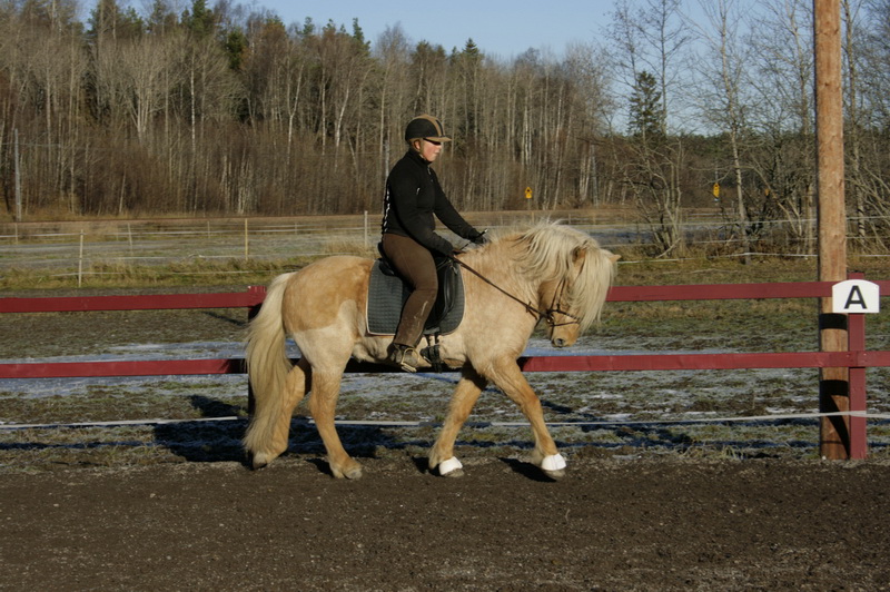 fylkir10110831.JPG
